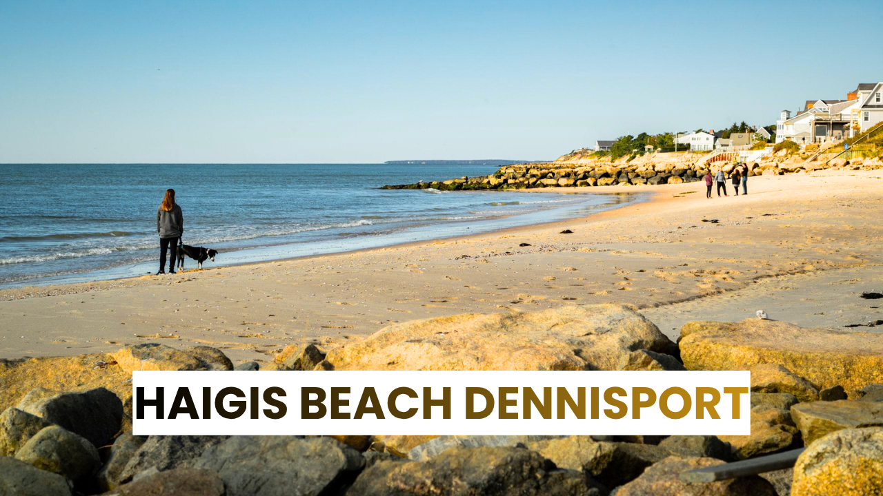 haigis beach dennisport